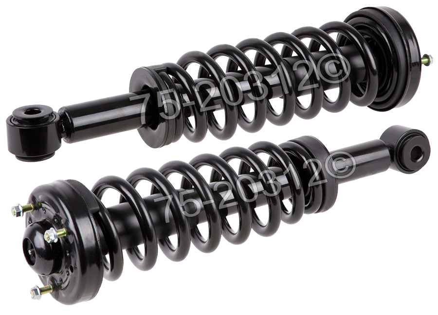 Ford F Series Trucks                Strut AssemblyStrut Assembly