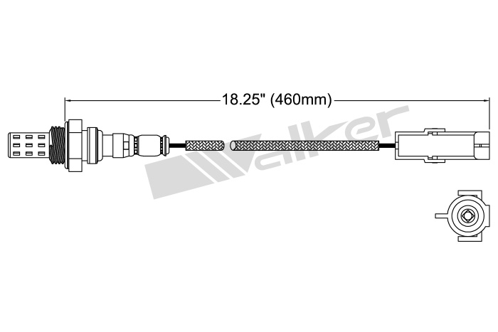 Oxygen Sensor