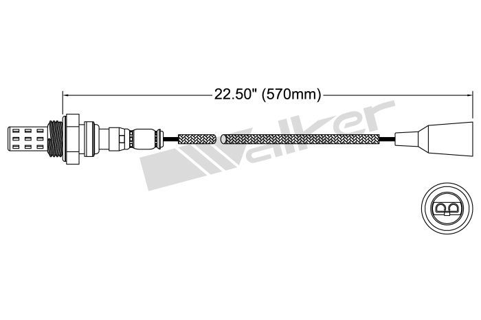 Oxygen Sensor