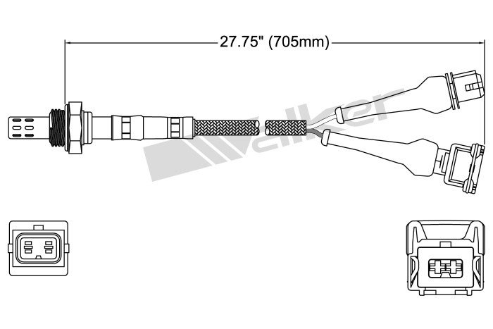 Oxygen Sensor