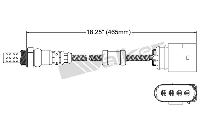 Oxygen Sensor
