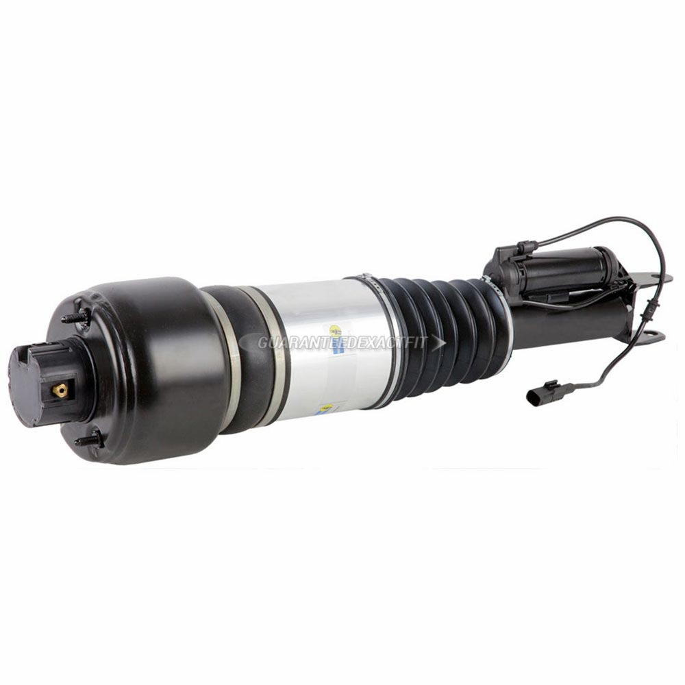Mercedes_Benz CLS500                         Strut AssemblyStrut Assembly