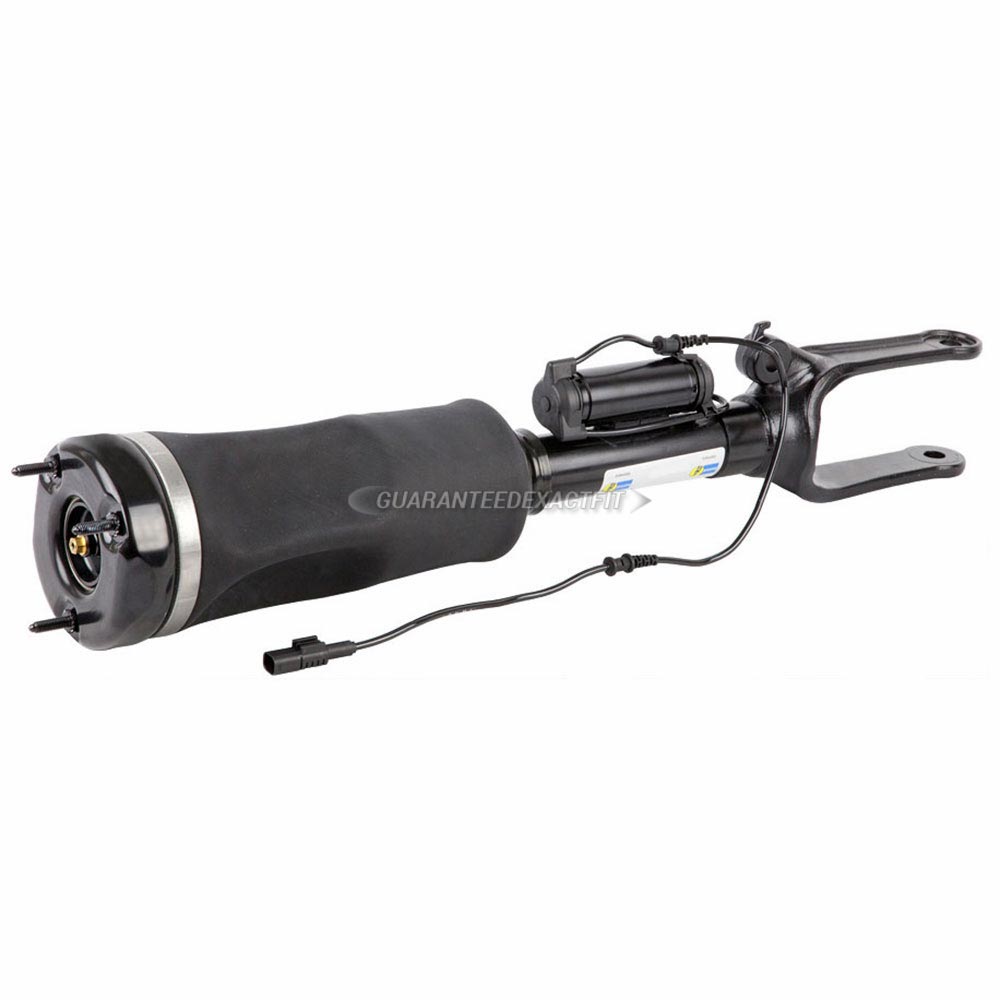 Mercedes_Benz R500                           Strut AssemblyStrut Assembly