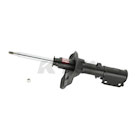 Strut Assembly
