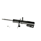 Strut Assembly