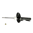 Strut Assembly