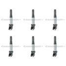 BMW 530                            Ignition Coil SetIgnition Coil Set