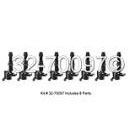 Ford F Series Trucks                Ignition Coil SetIgnition Coil Set