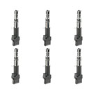 Porsche Cayenne                        Ignition Coil SetIgnition Coil Set