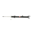 Strut Assembly