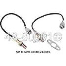 Oxygen Sensor Kit