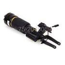 Strut Assembly