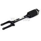 Strut Assembly