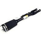 Strut Assembly
