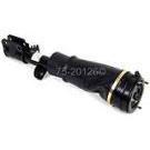 Strut Assembly