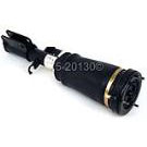 Strut Assembly