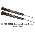 Shock and Strut Set