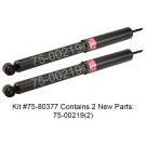 Shock and Strut Set