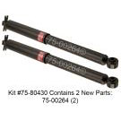 Shock and Strut Set