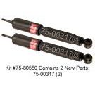 Shock and Strut Set