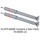 Shock and Strut Set