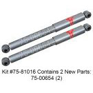 Shock and Strut Set