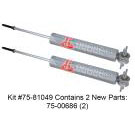 Shock and Strut Set