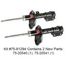 Shock and Strut Set