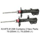 Shock and Strut Set