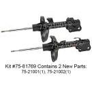Shock and Strut Set