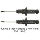 Shock and Strut Set