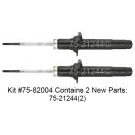 Shock and Strut Set