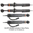 Shock and Strut Set