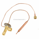 Ford A/C Expansion Device