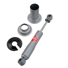 Strut Assembly