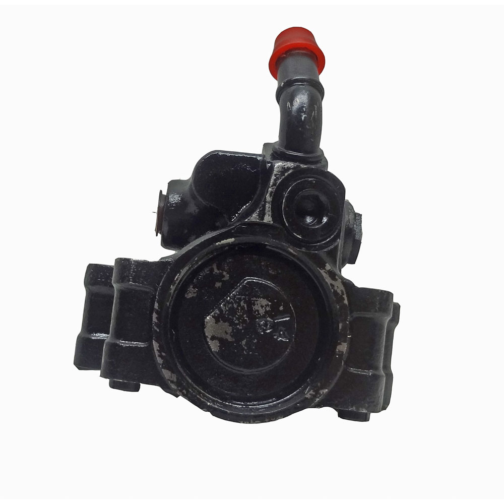 BuyAutoParts 86-01780R Power Steering Pump