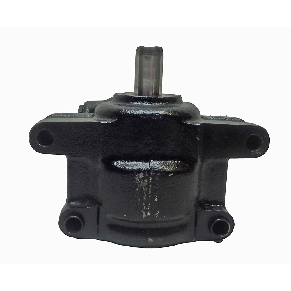 BuyAutoParts 86-01780R Power Steering Pump