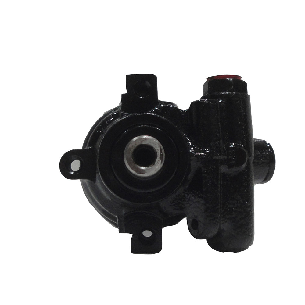 BuyAutoParts 86-01631R Power Steering Pump