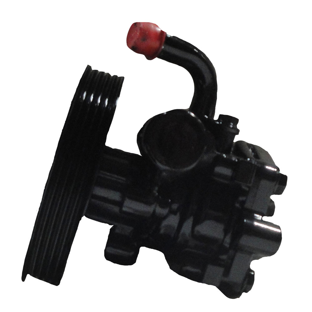 BuyAutoParts 86-00701R Power Steering Pump