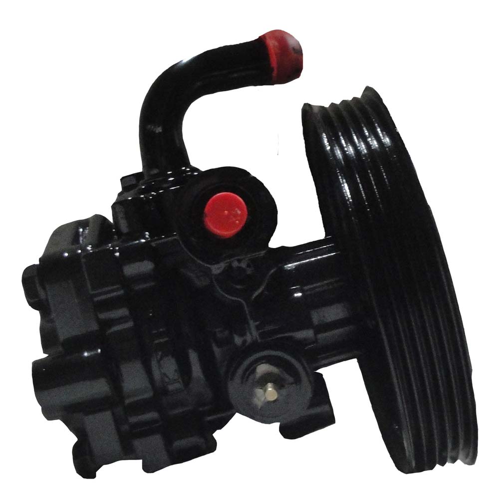 BuyAutoParts 86-00701R Power Steering Pump