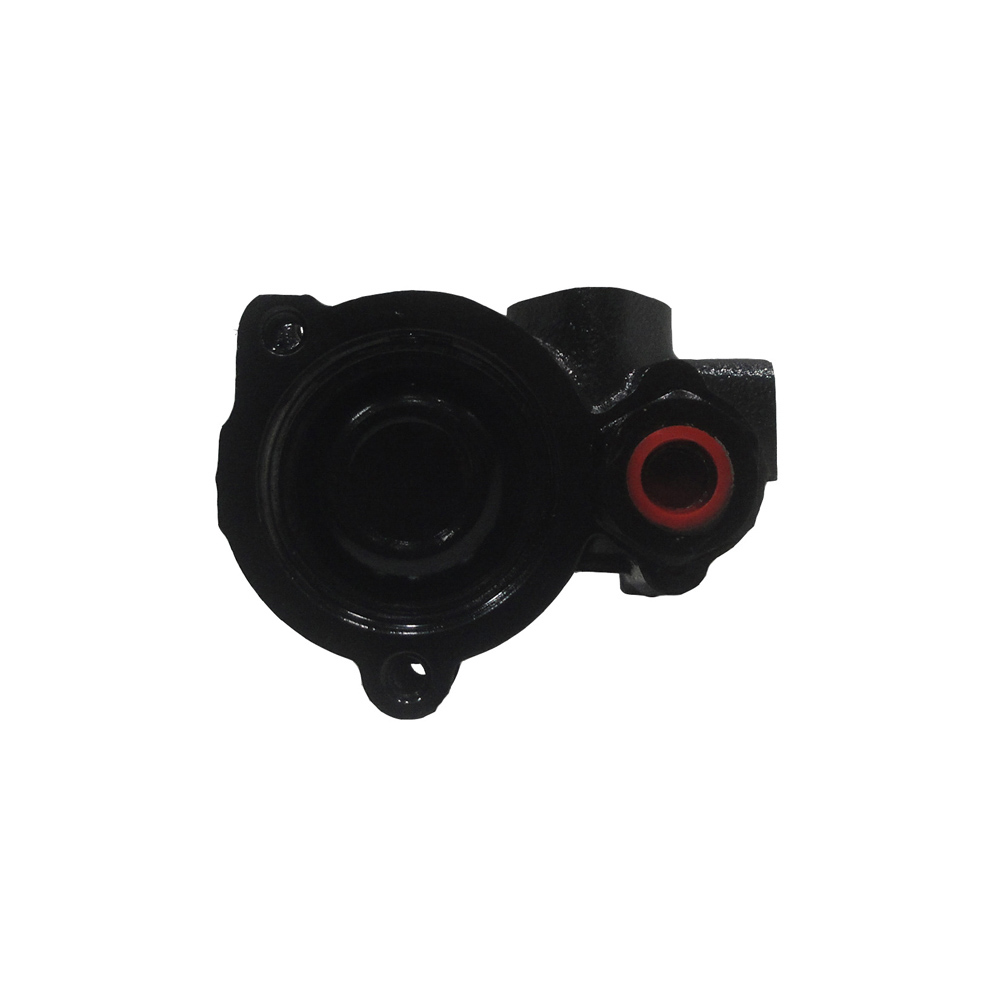 BuyAutoParts 86-00385R Power Steering Pump