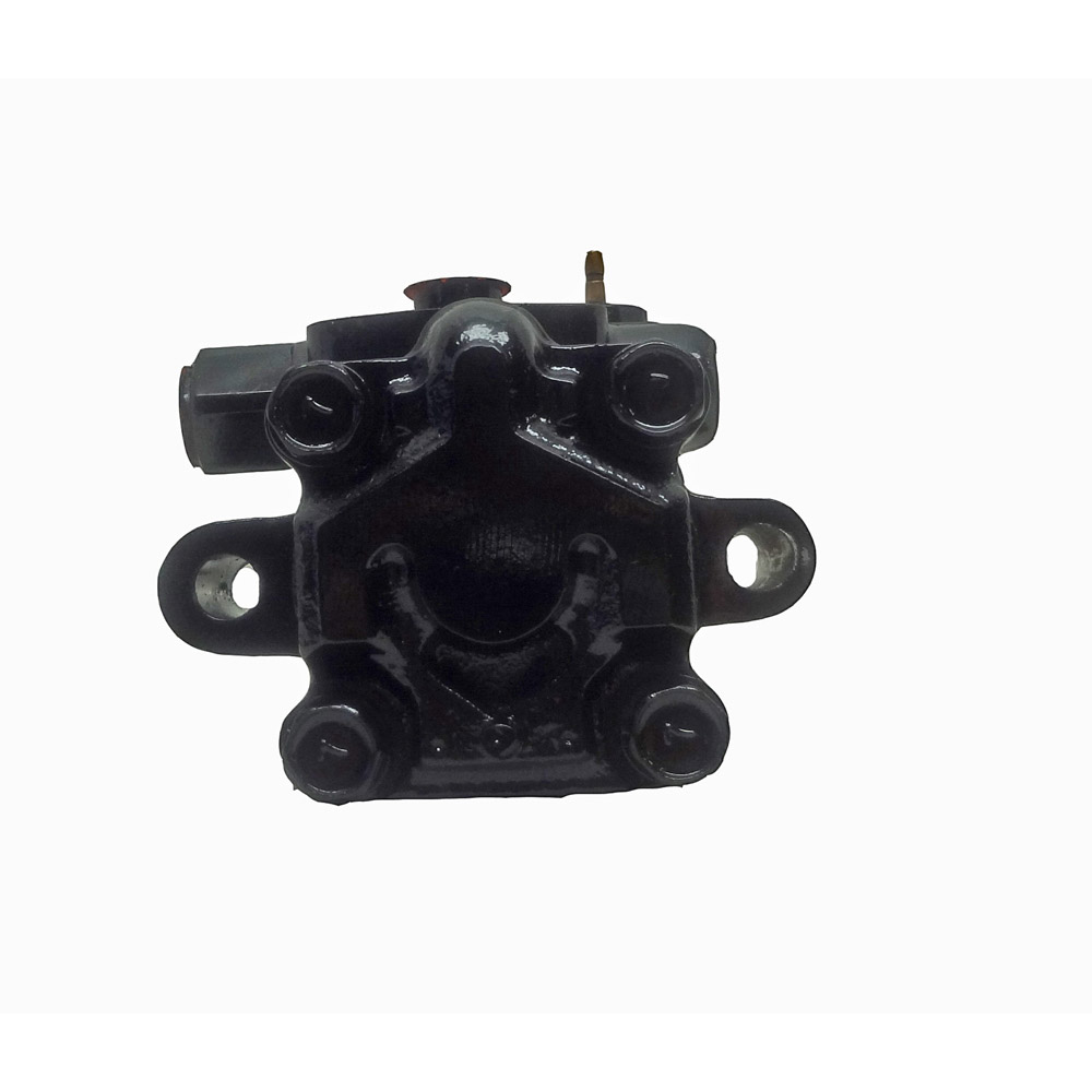 BuyAutoParts 86-01022R Power Steering Pump