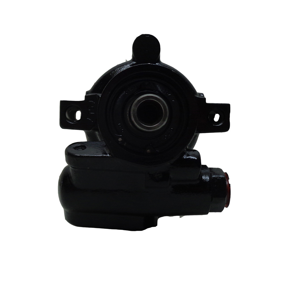 BuyAutoParts 86-02217R Power Steering Pump