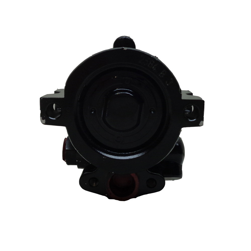 BuyAutoParts 86-02217R Power Steering Pump