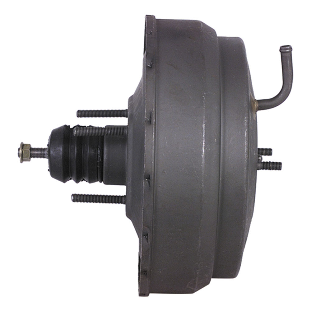 ポポラス　/446 ポポラス /446 ポポラス /446 常緑樹