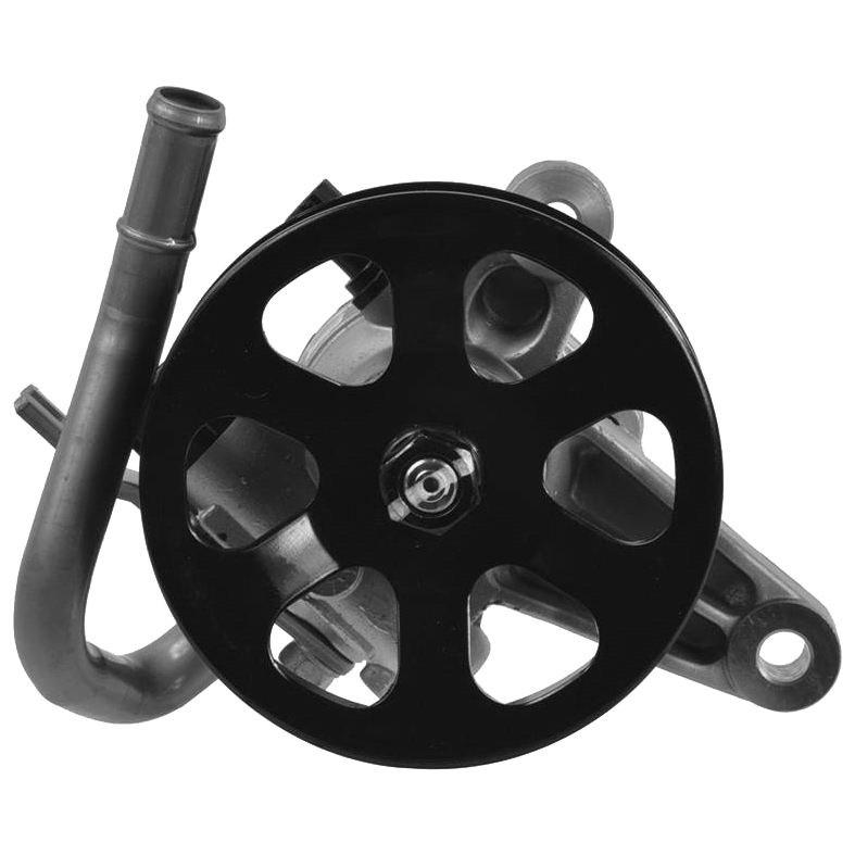  hyundai Entourage power/steering/pump 