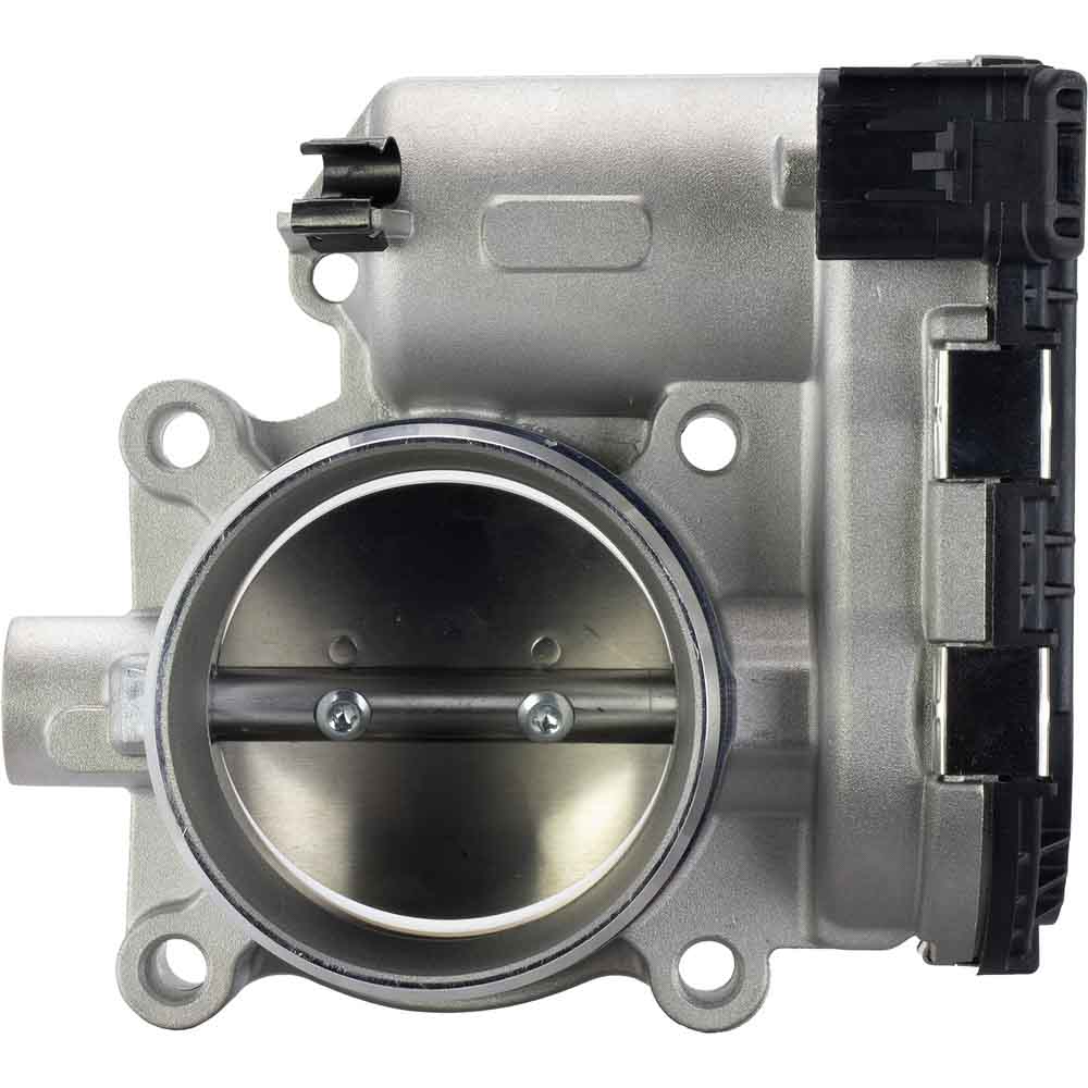 ford EcoSport throttle/body